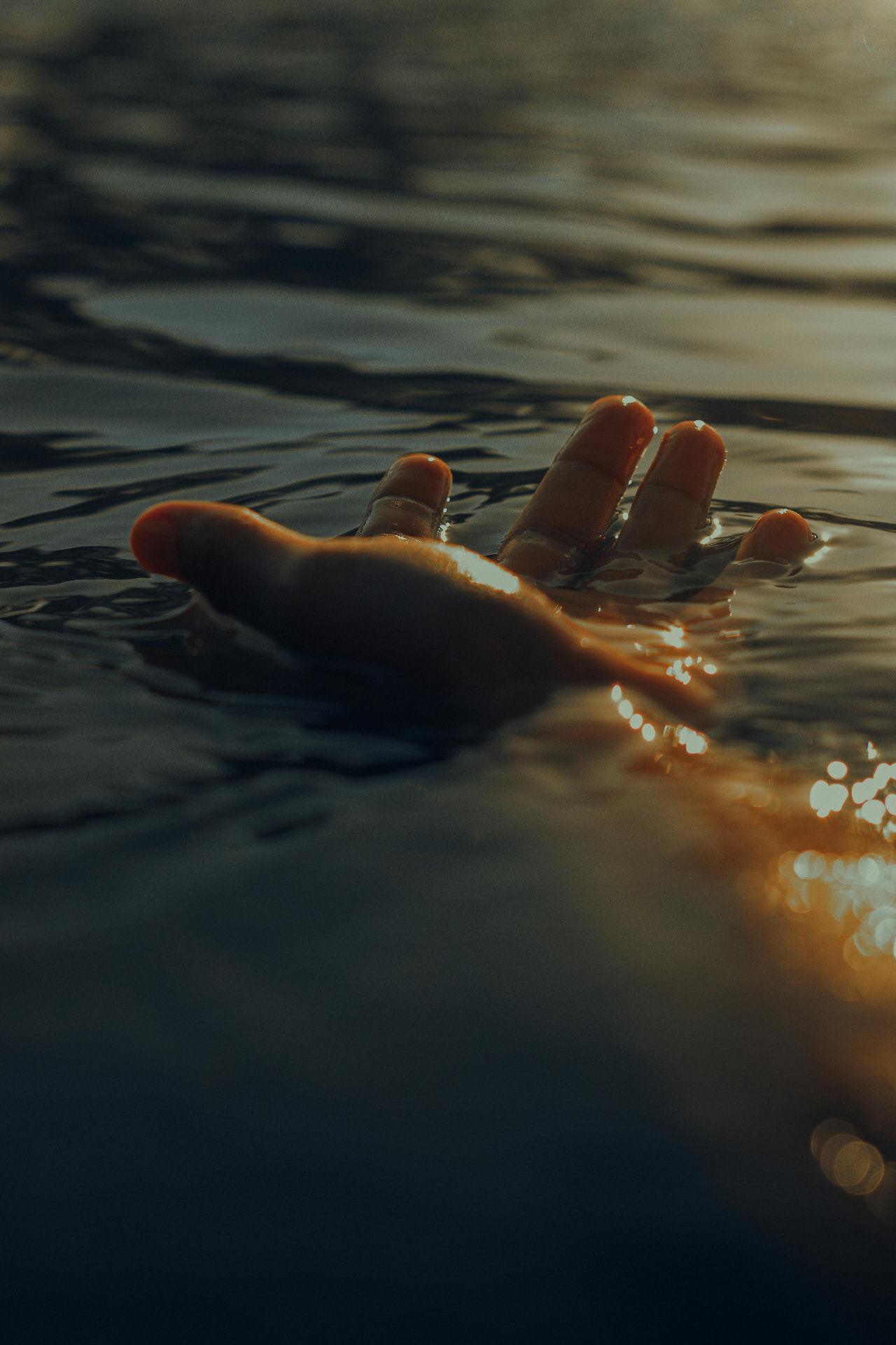 A hand resting at the surface of dark water in low sun